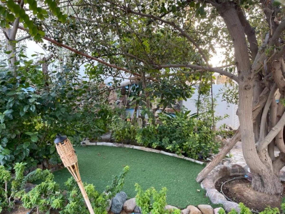 Alhosani Property Abu Zabi Zewnętrze zdjęcie