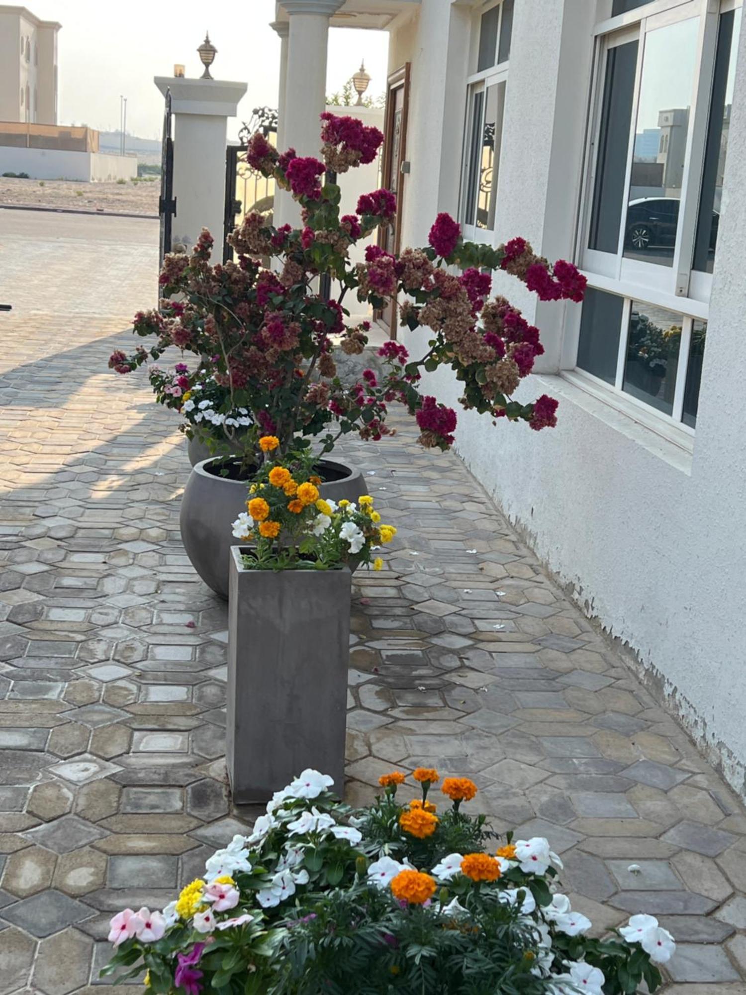 Alhosani Property Abu Zabi Zewnętrze zdjęcie