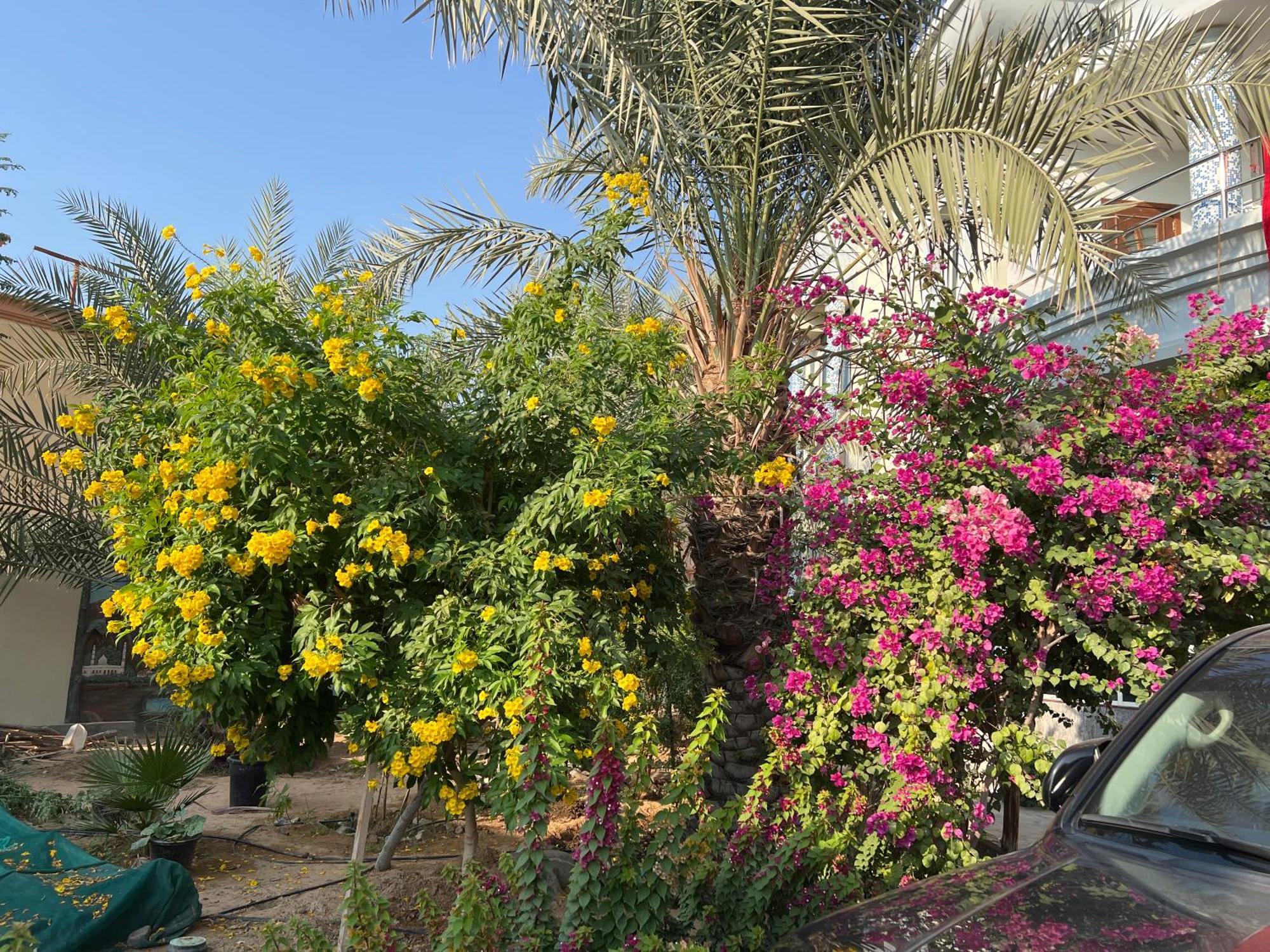 Alhosani Property Abu Zabi Zewnętrze zdjęcie
